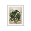 Picture of Tropical Greens _GroupedProduct_Rectangle_Portrait_Framed_Matted_