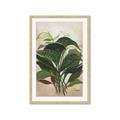 Picture of Tropical Greens _GroupedProduct_Rectangle_Portrait_Framed_Matted_