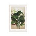 Picture of Tropical Greens _GroupedProduct_Rectangle_Portrait_Framed_Matted_