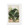 Picture of Tropical Greens _GroupedProduct_Rectangle_Portrait_Framed_Matted_