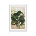 Picture of Tropical Greens _GroupedProduct_Rectangle_Portrait_Framed_Matted_