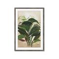 Picture of Tropical Greens _GroupedProduct_Rectangle_Portrait_Framed_Matted_