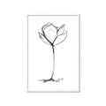 Picture of Single Flower I _GroupedProduct_Rectangle_Portrait_Framed_Matted_