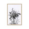 Picture of Black Daisy I _GroupedProduct_Rectangle_Portrait_Framed_Matted_