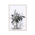 Picture of Black Daisy I _GroupedProduct_Rectangle_Portrait_Framed_Matted_