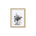 Picture of Black Daisy I _GroupedProduct_Rectangle_Portrait_Framed_Matted_