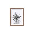 Picture of Black Daisy I _GroupedProduct_Rectangle_Portrait_Framed_Matted_