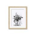 Picture of Black Daisy I _GroupedProduct_Rectangle_Portrait_Framed_Matted_