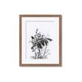 Picture of Black Daisy I _GroupedProduct_Rectangle_Portrait_Framed_Matted_