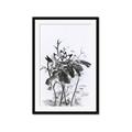 Picture of Black Daisy I _GroupedProduct_Rectangle_Portrait_Framed_Matted_