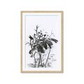 Picture of Black Daisy I _GroupedProduct_Rectangle_Portrait_Framed_Matted_