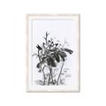 Picture of Black Daisy I _GroupedProduct_Rectangle_Portrait_Framed_Matted_