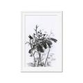 Picture of Black Daisy I _GroupedProduct_Rectangle_Portrait_Framed_Matted_