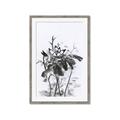 Picture of Black Daisy I _GroupedProduct_Rectangle_Portrait_Framed_Matted_