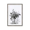 Picture of Black Daisy I _GroupedProduct_Rectangle_Portrait_Framed_Matted_