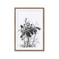 Picture of Black Daisy I _GroupedProduct_Rectangle_Portrait_Framed_Matted_
