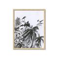 Picture of Black Daisy II _GroupedProduct_Rectangle_Portrait_Framed_Matted_