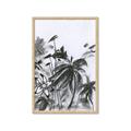 Picture of Black Daisy II _GroupedProduct_Rectangle_Portrait_Framed_Matted_