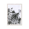 Picture of Black Daisy II _GroupedProduct_Rectangle_Portrait_Framed_Matted_