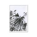 Picture of Black Daisy II _GroupedProduct_Rectangle_Portrait_Framed_Matted_