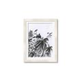 Picture of Black Daisy II _GroupedProduct_Rectangle_Portrait_Framed_Matted_