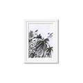 Picture of Black Daisy II _GroupedProduct_Rectangle_Portrait_Framed_Matted_