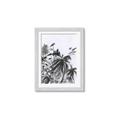 Picture of Black Daisy II _GroupedProduct_Rectangle_Portrait_Framed_Matted_