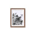 Picture of Black Daisy II _GroupedProduct_Rectangle_Portrait_Framed_Matted_
