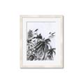Picture of Black Daisy II _GroupedProduct_Rectangle_Portrait_Framed_Matted_
