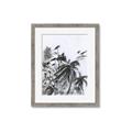 Picture of Black Daisy II _GroupedProduct_Rectangle_Portrait_Framed_Matted_