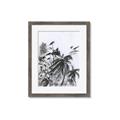 Picture of Black Daisy II _GroupedProduct_Rectangle_Portrait_Framed_Matted_
