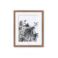 Picture of Black Daisy II _GroupedProduct_Rectangle_Portrait_Framed_Matted_