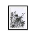 Picture of Black Daisy II _GroupedProduct_Rectangle_Portrait_Framed_Matted_