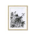 Picture of Black Daisy II _GroupedProduct_Rectangle_Portrait_Framed_Matted_