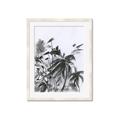 Picture of Black Daisy II _GroupedProduct_Rectangle_Portrait_Framed_Matted_