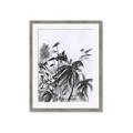 Picture of Black Daisy II _GroupedProduct_Rectangle_Portrait_Framed_Matted_