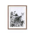 Picture of Black Daisy II _GroupedProduct_Rectangle_Portrait_Framed_Matted_