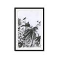 Picture of Black Daisy II _GroupedProduct_Rectangle_Portrait_Framed_Matted_