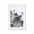 Picture of Black Daisy II _GroupedProduct_Rectangle_Portrait_Framed_Matted_