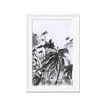 Picture of Black Daisy II _GroupedProduct_Rectangle_Portrait_Framed_Matted_