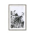 Picture of Black Daisy II _GroupedProduct_Rectangle_Portrait_Framed_Matted_