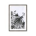 Picture of Black Daisy II _GroupedProduct_Rectangle_Portrait_Framed_Matted_