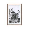 Picture of Black Daisy II _GroupedProduct_Rectangle_Portrait_Framed_Matted_