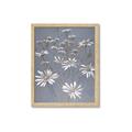 Picture of Daisy Flower _GroupedProduct_Rectangle_Portrait_Framed_Matted_