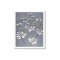 Picture of Daisy Flower _GroupedProduct_Rectangle_Portrait_Framed_Matted_