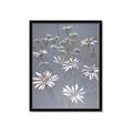 Picture of Daisy Flower _GroupedProduct_Rectangle_Portrait_Framed_Matted_
