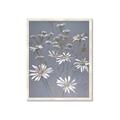 Picture of Daisy Flower _GroupedProduct_Rectangle_Portrait_Framed_Matted_