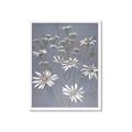 Picture of Daisy Flower _GroupedProduct_Rectangle_Portrait_Framed_Matted_