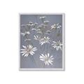 Picture of Daisy Flower _GroupedProduct_Rectangle_Portrait_Framed_Matted_