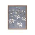 Picture of Daisy Flower _GroupedProduct_Rectangle_Portrait_Framed_Matted_